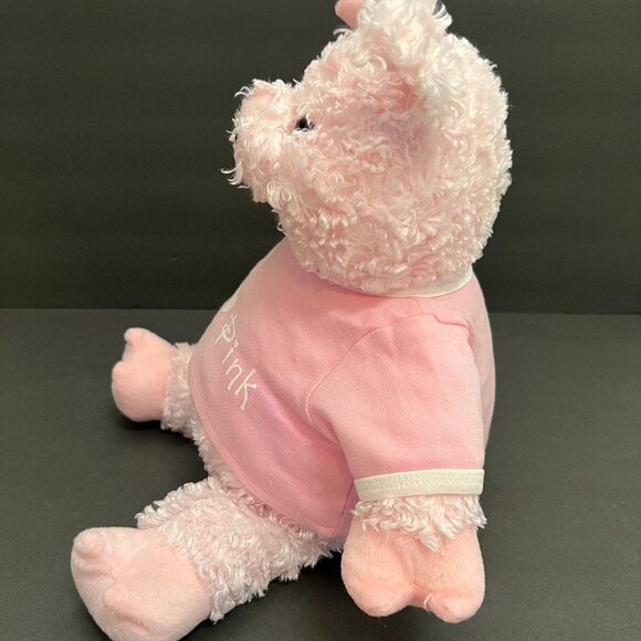 Pig Fluffy Plush Stuffed Animal with Pink Tee Shirt Wacky Bear Factory - Picture 2 of 5